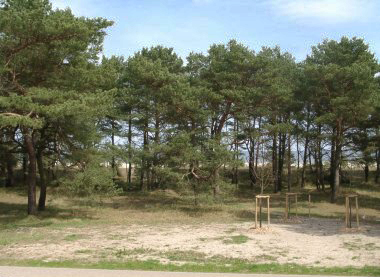 Ferienhaus direkt hinter der Düne