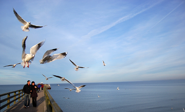 Seebrücke in Zinnowitz auf Usedom